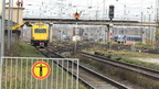 2025-11-12_Falkenberg-Elster